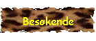 Bes�kende