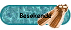 Bes�kende