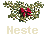Neste